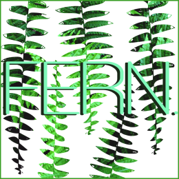 Koszulka damska fern.