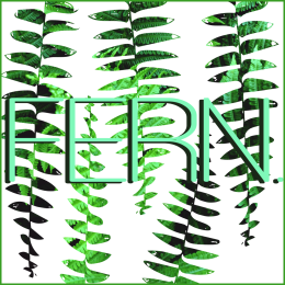 Bluza damska fern.