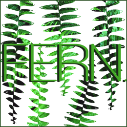 Bluza damska fern.