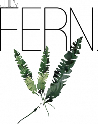 Koszulka męska juicy fern.