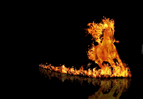 Ogień, koń