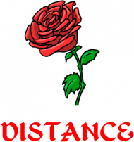 ROSE T-SHIRT