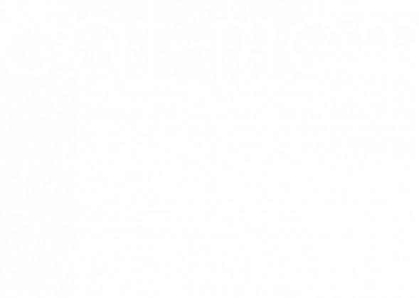 cat mom / wife / nurse