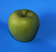 torba Healthianna Apple Jabłko