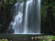 Maseczka ochronna Waterfall