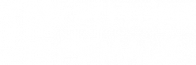 The Future is Female TSHIRT Women