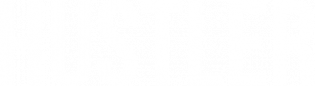 Hustler