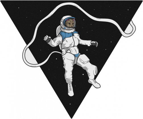 Kot w Kosmosie - Space Cat