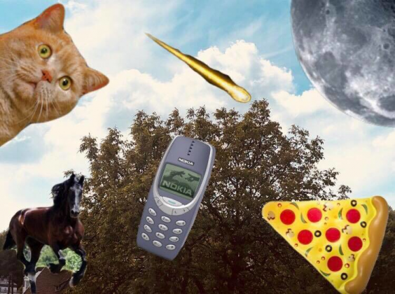 Bluza (kot telefon księżyc pizza koń drzewo)