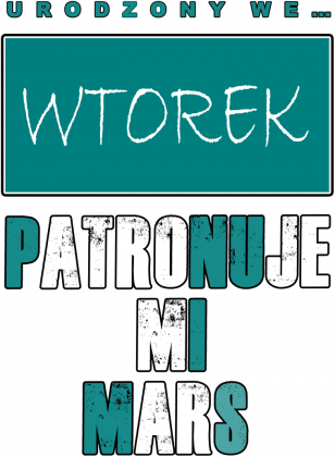 T-shirt   0004