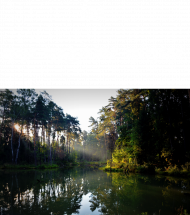 Las - moje magiczne miejsce