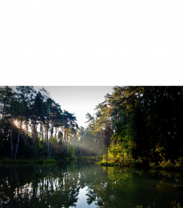 Las - moje magiczne miejsce
