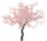 cherry blossom kubek vintage