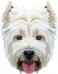 West Highland White Terrier geometryczny bluza  z Twoim Zwierzakiem