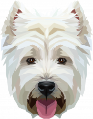 West Highland White Terrier geometryczny plakat A2 z Twoim Zwierzakiem