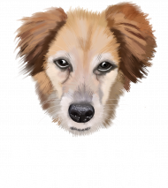best dog daddy ever bluza czarna