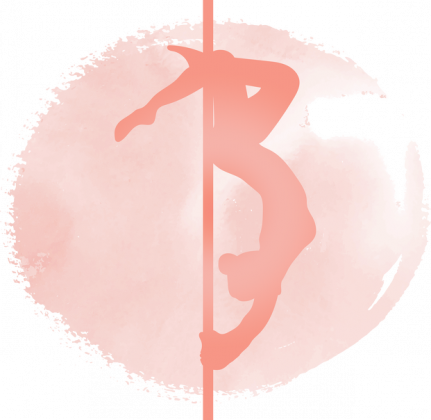 koszulka na pole dance / Pole Dancer / bluza/ Pole Dancer bluza/ Pole Dancer Gift / Pole Dancing / Pole Dance bluza / Pole Dancer / Pole Fitness