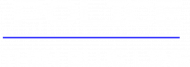 POLICE THIN BLUE LINE