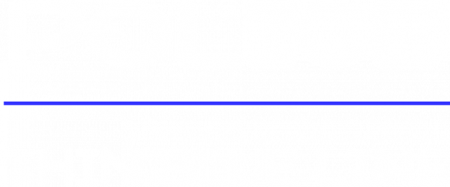 POLICE THIN BLUE LINE