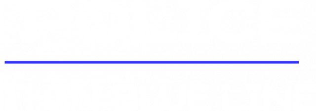 POLICE THIN BLUE LINE