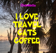 I love travel cats coffee
