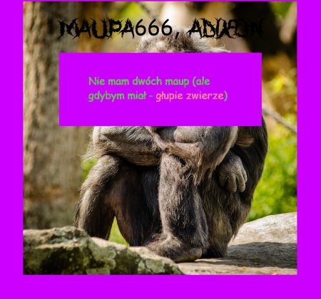 nie mam dwóch małp