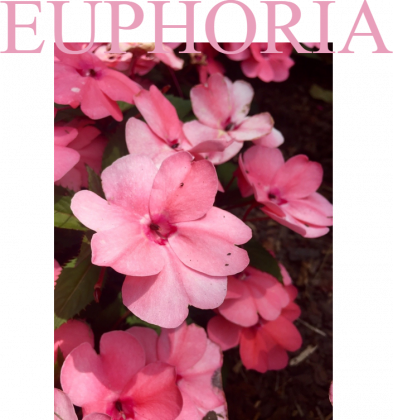 EUPHORIA HOODIE #2