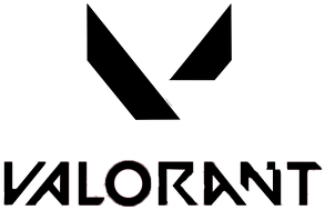 Valorant Bluzka