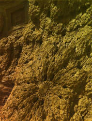 Organic Rock