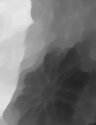 Monochrome flowers
