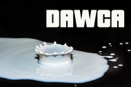 Koszulka Dawca