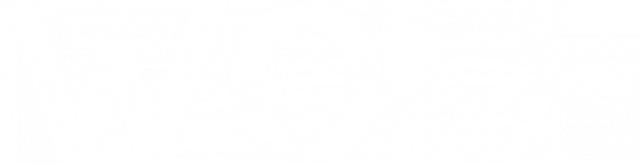 Bluza bez kaptura "WOLF" damska