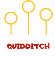 Born to Play quidditch- koszulka