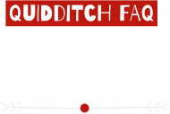 quidditch FAQ- bluza