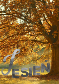 Jesień - jesienny plakat