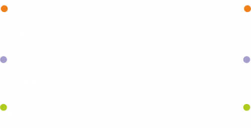 Najlepsza Nauczycielka Biologii - koszulka na Dzień Nauczyciela