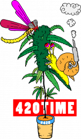 420Time