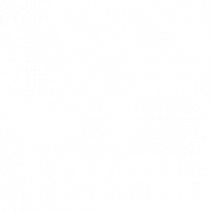 Bluza JP100%