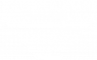 Bluza GORGIO ZJEBANI