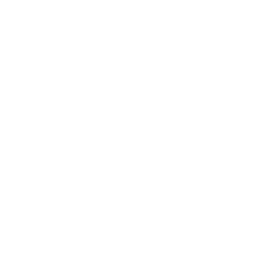 Bluza JP100%