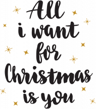 Bluza Męska z Kapturem Święta All I Want For Christmas is You