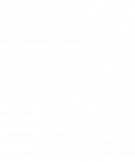 T-shirt: Kind Vibes Only