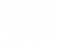 T-shirt: Stay Wild
