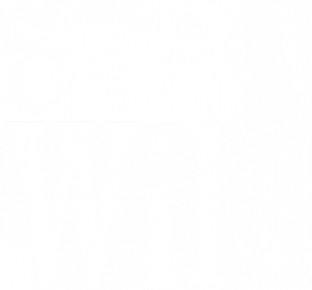 T-shirt: Stay Wild