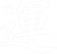Hoodie: Samurai