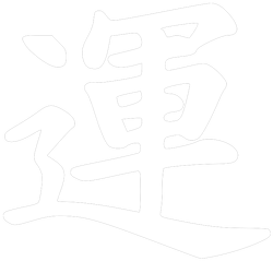 Damski T-Shirt: Samurai