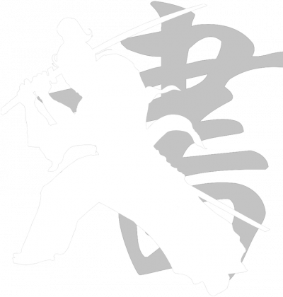 Damski Crewneck: Samurai