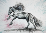 HORSE FRIESIAN - ROCCO BAROCCO © DH - POSTER PLAKAT  Z KONIEM FRYZYJSKIM