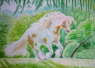 KOŃ IZABELOWATO-SROKATY  - GYPSY VANNER HORSE - GAJA'S TRUE VIBES ©DH - PLAKAT POSTER  Z KONIEM
