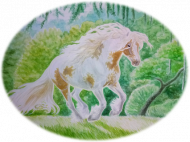KOŃ IZABELOWATO-SROKATY  - GYPSY VANNER HORSE - GAJA'S TRUE VIBES ©DH - CZAPKA Z KONIEM